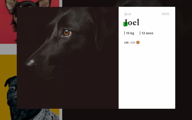 Facedog